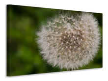 Laden Sie das Bild in den Galerie-Viewer, Leinwandbild Der Löwenzahn in der Natur