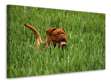 Laden Sie das Bild in den Galerie-Viewer, Leinwandbild Der Mastiff im Gras