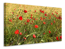 Laden Sie das Bild in den Galerie-Viewer, Leinwandbild Der Mohn im Wind