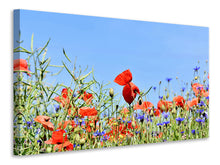 Laden Sie das Bild in den Galerie-Viewer, Leinwandbild Der Mohn in der Blumenwiese