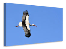 Laden Sie das Bild in den Galerie-Viewer, Leinwandbild Der Storch in Aktion