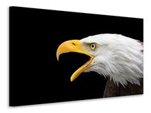 Laden Sie das Bild in den Galerie-Viewer, Leinwandbild Der Weißkopfseeadler