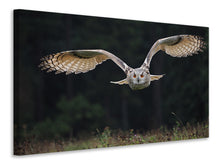 Laden Sie das Bild in den Galerie-Viewer, Leinwandbild Die Eule