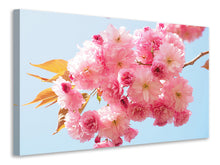 Laden Sie das Bild in den Galerie-Viewer, Leinwandbild Die Kirschblüten