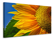 Laden Sie das Bild in den Galerie-Viewer, Leinwandbild Die Knospe Close up