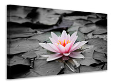 Laden Sie das Bild in den Galerie-Viewer, Leinwandbild Die Kunst der Seerose