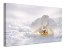 Laden Sie das Bild in den Galerie-Viewer, Leinwandbild Die Orchideen Blüte
