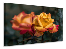 Laden Sie das Bild in den Galerie-Viewer, Leinwandbild Die Rose im Garten