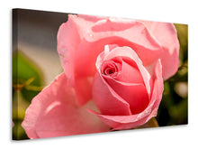 Laden Sie das Bild in den Galerie-Viewer, Leinwandbild Die Rose in rosa