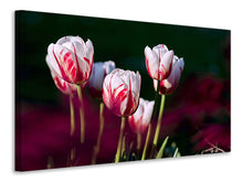 Laden Sie das Bild in den Galerie-Viewer, Leinwandbild Die Schönheit der Tulpen