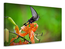 Laden Sie das Bild in den Galerie-Viewer, Leinwandbild Die Tiger-Lilie und der Schmetterling