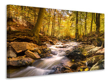 Laden Sie das Bild in den Galerie-Viewer, Leinwandbild Echte Natur Schönheit