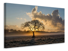 Laden Sie das Bild in den Galerie-Viewer, Leinwandbild Ein einsamer Baum