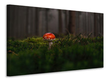 Laden Sie das Bild in den Galerie-Viewer, Leinwandbild Ein Pilz im Wald