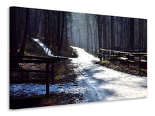 Laden Sie das Bild in den Galerie-Viewer, Leinwandbild Ein Weg im Schnee