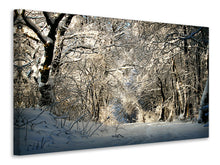 Laden Sie das Bild in den Galerie-Viewer, Leinwandbild Ein Winter Traum