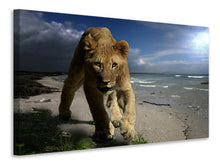 Laden Sie das Bild in den Galerie-Viewer, Leinwandbild Eine Löwin am Strand