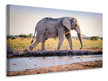 Laden Sie das Bild in den Galerie-Viewer, Leinwandbild Elefant in der Natur