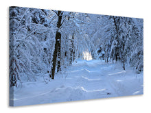 Laden Sie das Bild in den Galerie-Viewer, Leinwandbild Endlich Winter 