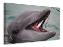 Laden Sie das Bild in den Galerie-Viewer, Leinwandbild Essenszeit für einen Delphin