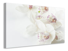 Laden Sie das Bild in den Galerie-Viewer, Leinwandbild Fantastische Orchideen