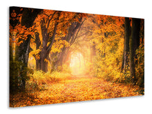 Laden Sie das Bild in den Galerie-Viewer, Leinwandbild Farben prächtiger Wald