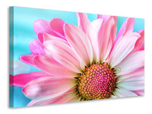 Laden Sie das Bild in den Galerie-Viewer, Leinwandbild Farbige Blume