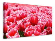 Laden Sie das Bild in den Galerie-Viewer, Leinwandbild Fröhliches Tulpenfeld
