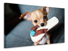 Laden Sie das Bild in den Galerie-Viewer, Leinwandbild Gehorsamer Chihuahua