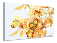 Laden Sie das Bild in den Galerie-Viewer, Leinwandbild Gelbe Orchidee