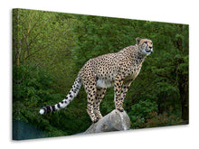 Laden Sie das Bild in den Galerie-Viewer, Leinwandbild Gepard auf dem Sprung