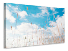Laden Sie das Bild in den Galerie-Viewer, Leinwandbild Grashalme im Himmel