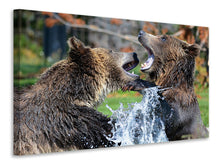 Laden Sie das Bild in den Galerie-Viewer, Leinwandbild Grizzly Kampf