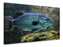 Laden Sie das Bild in den Galerie-Viewer, Leinwandbild Grosser Fisch
