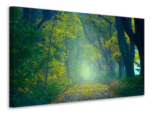 Laden Sie das Bild in den Galerie-Viewer, Leinwandbild Grüner Wald