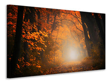 Laden Sie das Bild in den Galerie-Viewer, Leinwandbild Herbstlicht im Wald
