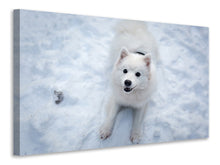 Laden Sie das Bild in den Galerie-Viewer, Leinwandbild Hunde Freude im Schnee