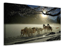 Laden Sie das Bild in den Galerie-Viewer, Leinwandbild Huskys