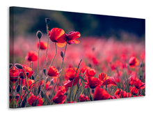 Laden Sie das Bild in den Galerie-Viewer, Leinwandbild Im Mohn Feld