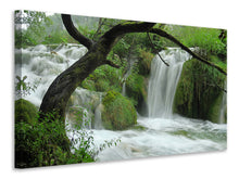 Laden Sie das Bild in den Galerie-Viewer, Leinwandbild Im Nationalpark