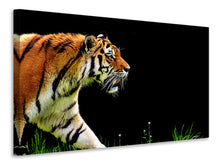 Laden Sie das Bild in den Galerie-Viewer, Leinwandbild Imposanter Tiger