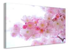 Laden Sie das Bild in den Galerie-Viewer, Leinwandbild Japanische Kirschblüte XL