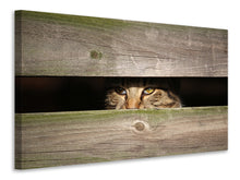 Laden Sie das Bild in den Galerie-Viewer, Leinwandbild Katze im Versteck