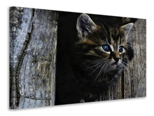 Laden Sie das Bild in den Galerie-Viewer, Leinwandbild Katzen Kind