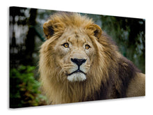 Laden Sie das Bild in den Galerie-Viewer, Leinwandbild König der Tierwelt
