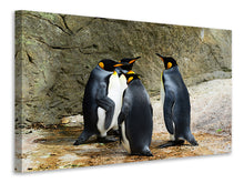 Laden Sie das Bild in den Galerie-Viewer, Leinwandbild König Pinguine