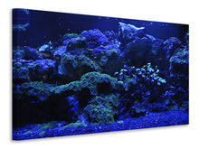 Laden Sie das Bild in den Galerie-Viewer, Leinwandbild Korallenriff in blau