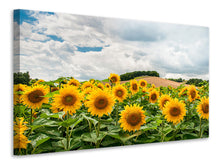 Laden Sie das Bild in den Galerie-Viewer, Leinwandbild Landschaft mit Sonnenblumen
