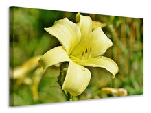 Laden Sie das Bild in den Galerie-Viewer, Leinwandbild Lilien Blüte in gelb