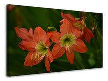 Laden Sie das Bild in den Galerie-Viewer, Leinwandbild Lilien in orange